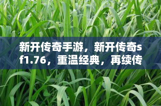 新开传奇手游，新开传奇sf1.76，重温经典，再续传奇