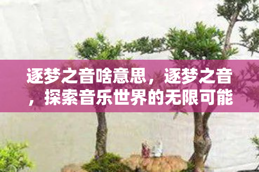 逐梦之音啥意思,逐梦之音,探索音乐世界的无限可能 逐梦之音啥意思,逐梦之音,探索音乐世界的无限可能