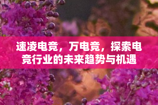速凌电竞,万电竞,探索电竞行业的未来趋势与机遇 速凌电竞,万电竞,探索电竞行业的未来趋势与机遇