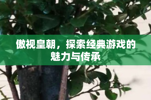 傲视皇朝,探索经典游戏的魅力与传承 傲视皇朝,探索经典游戏的魅力与传承