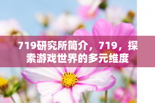 719研究所简介,719,探索游戏世界的多元维度 719研究所简介,719,探索游戏世界的多元维度
