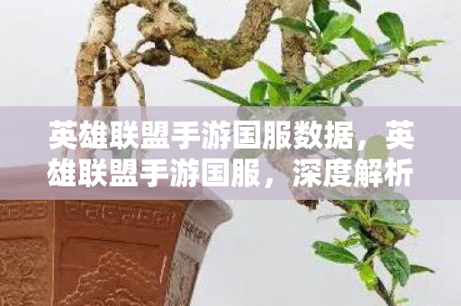 英雄联盟手游国服数据,英雄联盟手游国服,深度解析游戏特色与玩家体验 英雄联盟手游国服数据,英雄联盟手游国服,深度解析游戏特色与玩家体验