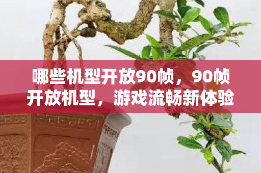 哪些机型开放90帧,90帧开放机型,游戏流畅新体验 哪些机型开放90帧,90帧开放机型,游戏流畅新体验