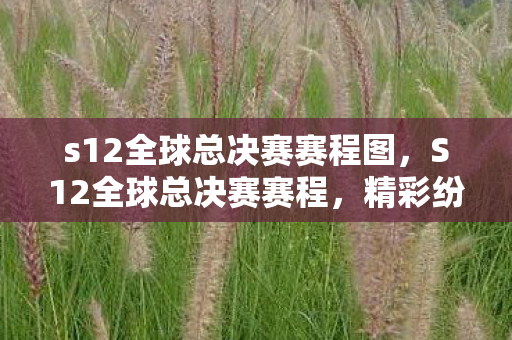 s12全球总决赛赛程图，S12全球总决赛赛程，精彩纷呈的电竞盛宴