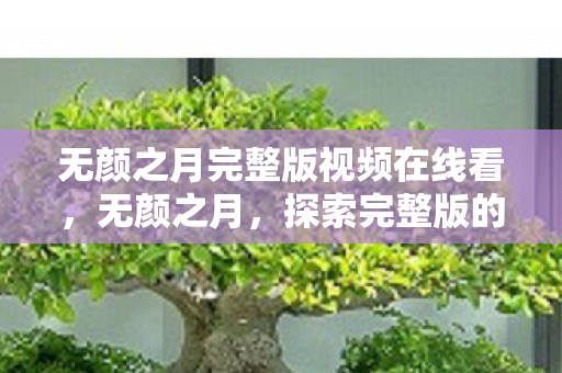 无颜之月完整版视频在线看,无颜之月,探索完整版的视觉盛宴 无颜之月完整版视频在线看,无颜之月,探索完整版的视觉盛宴