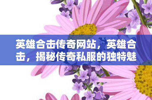英雄合击传奇网站，英雄合击，揭秘传奇私服的独特魅力与玩家心声