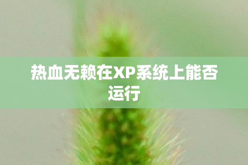 热血无赖在XP系统上能否运行 热血无赖在XP系统上能否运行
