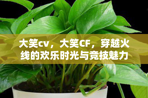 大笑cv,大笑CF,穿越火线的欢乐时光与竞技魅力 大笑cv,大笑CF,穿越火线的欢乐时光与竞技魅力