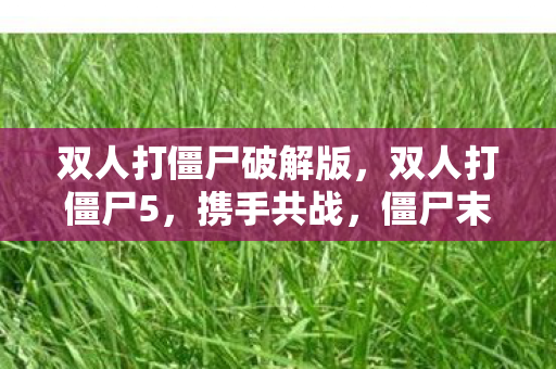 双人打僵尸破解版,双人打僵尸5,携手共战,僵尸末日中的生存挑战 双人打僵尸破解版,双人打僵尸5,携手共战,僵尸末日中的生存挑战