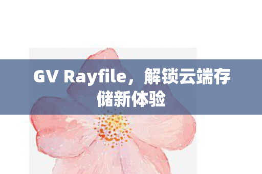 GV Rayfile，解锁云端存储新体验