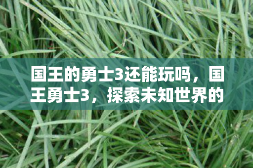 国王的勇士3还能玩吗,国王勇士3,探索未知世界的奇幻之旅 国王的勇士3还能玩吗,国王勇士3,探索未知世界的奇幻之旅