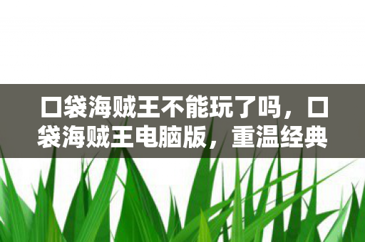 口袋海贼王不能玩了吗,口袋海贼王电脑版,重温经典,策略与冒险并存 口袋海贼王不能玩了吗,口袋海贼王电脑版,重温经典,策略与冒险并存