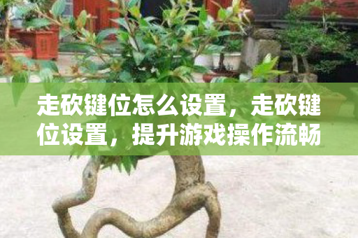 走砍键位怎么设置,走砍键位设置,提升游戏操作流畅度的关键 走砍键位怎么设置,走砍键位设置,提升游戏操作流畅度的关键