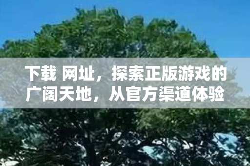 下载 网址，探索正版游戏的广阔天地，从官方渠道体验游戏的魅力