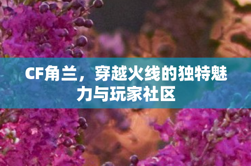 CF角兰，穿越火线的独特魅力与玩家社区