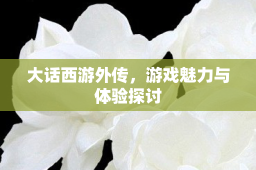 大话西游外传,游戏魅力与体验探讨 大话西游外传,游戏魅力与体验探讨