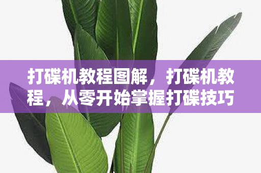 打碟机教程图解,打碟机教程,从零开始掌握打碟技巧 打碟机教程图解,打碟机教程,从零开始掌握打碟技巧