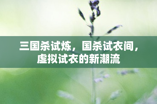 三国杀试炼，国杀试衣间，虚拟试衣的新潮流