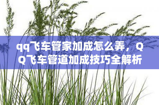 qq飞车管家加成怎么弄，QQ飞车管道加成技巧全解析