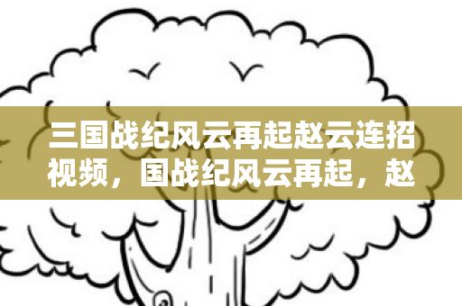 三国战纪风云再起赵云连招视频，国战纪风云再起，赵云连招的奥秘