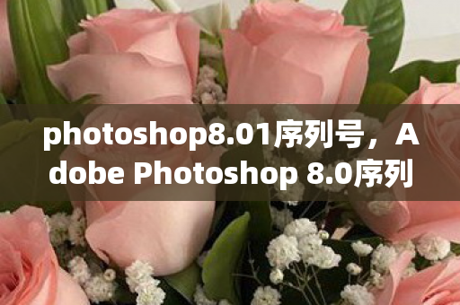photoshop8.01序列号,Adobe Photoshop 8.0序列号,解锁创意无限 photoshop8.01序列号,Adobe Photoshop 8.0序列号,解锁创意无限