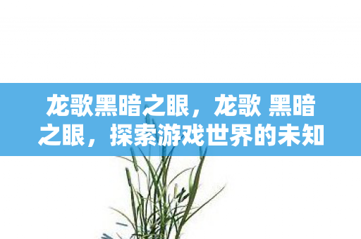 龙歌黑暗之眼,龙歌 黑暗之眼,探索游戏世界的未知之旅 龙歌黑暗之眼,龙歌 黑暗之眼,探索游戏世界的未知之旅