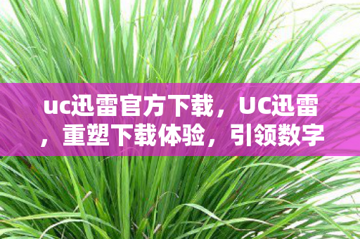 uc迅雷官方下载,UC迅雷,重塑下载体验,引领数字生活新风尚 uc迅雷官方下载,UC迅雷,重塑下载体验,引领数字生活新风尚