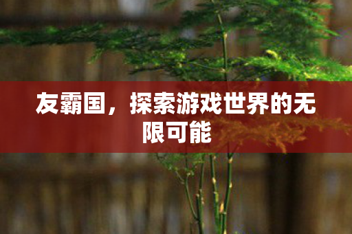 友霸国,探索游戏世界的无限可能 友霸国,探索游戏世界的无限可能