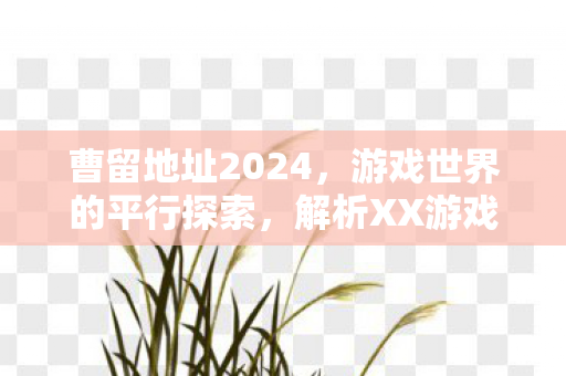 曹留地址2024,游戏世界的平行探索,解析XX游戏的官方与社区版本差异 曹留地址2024,游戏世界的平行探索,解析XX游戏的官方与社区版本差异