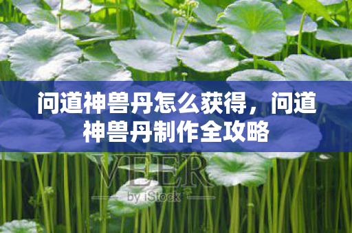 问道神兽丹怎么获得,问道神兽丹制作全攻略 问道神兽丹怎么获得,问道神兽丹制作全攻略