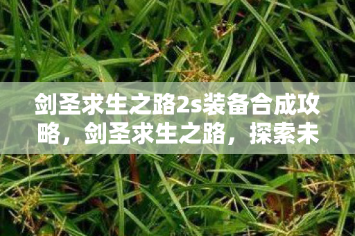 剑圣求生之路2s装备合成攻略,剑圣求生之路,探索未知,挑战极限 剑圣求生之路2s装备合成攻略,剑圣求生之路,探索未知,挑战极限