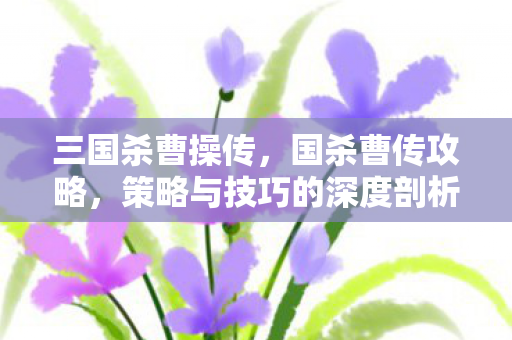 三国杀曹操传,国杀曹传攻略,策略与技巧的深度剖析 三国杀曹操传,国杀曹传攻略,策略与技巧的深度剖析