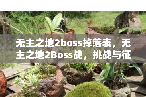 无主之地2boss掉落表,无主之地2Boss战,挑战与征服的极致体验 无主之地2boss掉落表,无主之地2Boss战,挑战与征服的极致体验