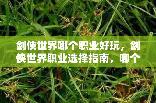 剑侠世界哪个职业好玩,剑侠世界职业选择指南,哪个职业最适合你? 剑侠世界哪个职业好玩,剑侠世界职业选择指南,哪个职业最适合你?