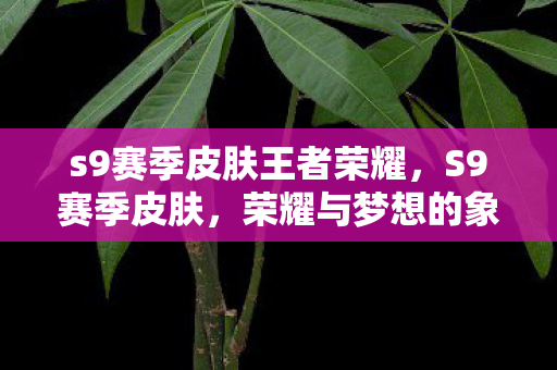 s9赛季皮肤王者荣耀,S9赛季皮肤,荣耀与梦想的象征 s9赛季皮肤王者荣耀,S9赛季皮肤,荣耀与梦想的象征
