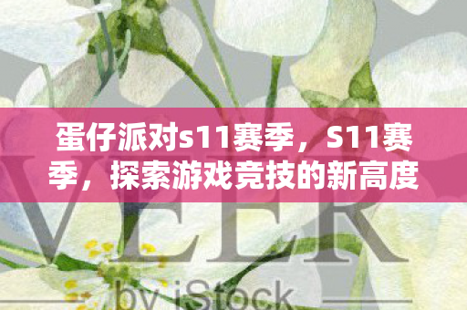 蛋仔派对s11赛季，S11赛季，探索游戏竞技的新高度