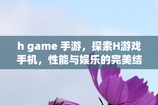h game 手游，探索H游戏手机，性能与娱乐的完美结合