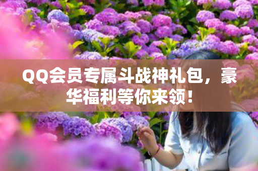 QQ会员专属斗战神礼包,豪华福利等你来领! QQ会员专属斗战神礼包,豪华福利等你来领!