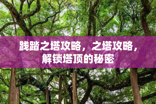 践踏之塔攻略,之塔攻略,解锁塔顶的秘密 践踏之塔攻略,之塔攻略,解锁塔顶的秘密