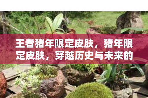 王者猪年限定皮肤,猪年限定皮肤,穿越历史与未来的时尚潮流 王者猪年限定皮肤,猪年限定皮肤,穿越历史与未来的时尚潮流