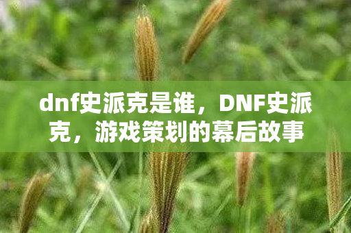 dnf史派克是谁，DNF史派克，游戏策划的幕后故事
