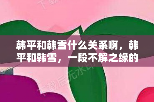 韩平和韩雪什么关系啊，韩平和韩雪，一段不解之缘的探讨