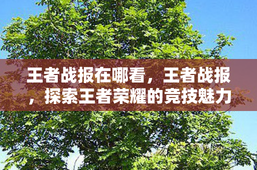 王者战报在哪看，王者战报，探索王者荣耀的竞技魅力与策略深度