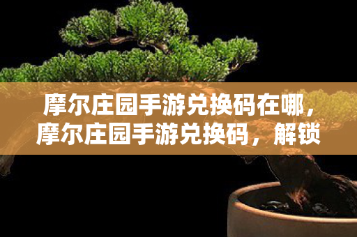 摩尔庄园手游兑换码在哪，摩尔庄园手游兑换码，解锁专属福利，畅游梦幻庄园