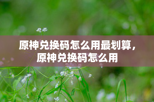 原神兑换码怎么用最划算,原神兑换码怎么用 原神兑换码怎么用最划算,原神兑换码怎么用