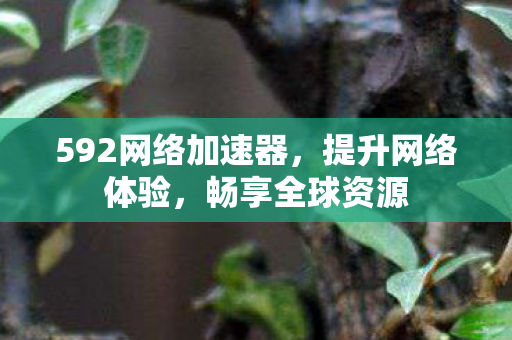 592网络加速器，提升网络体验，畅享全球资源