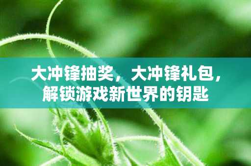 大冲锋抽奖,大冲锋礼包,解锁游戏新世界的钥匙 大冲锋抽奖,大冲锋礼包,解锁游戏新世界的钥匙