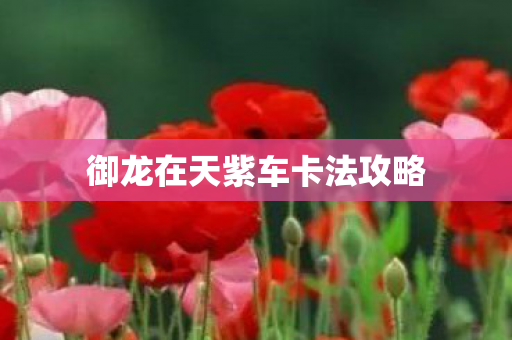 御龙在天紫车卡法攻略 御龙在天紫车卡法攻略