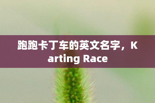 跑跑卡丁车的英文名字,Karting Race 跑跑卡丁车的英文名字,Karting Race