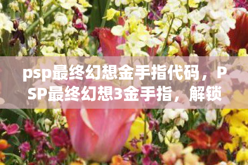 psp最终幻想金手指代码，PSP最终幻想3金手指，解锁无限可能的冒险之旅